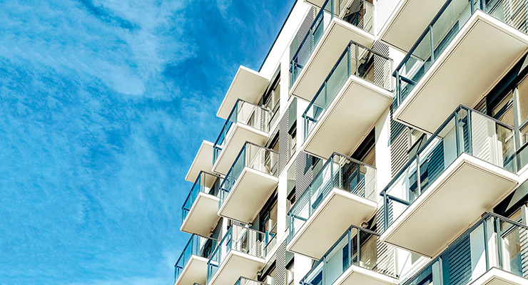 子浩法律事務所の挑戦 CHALLENGE